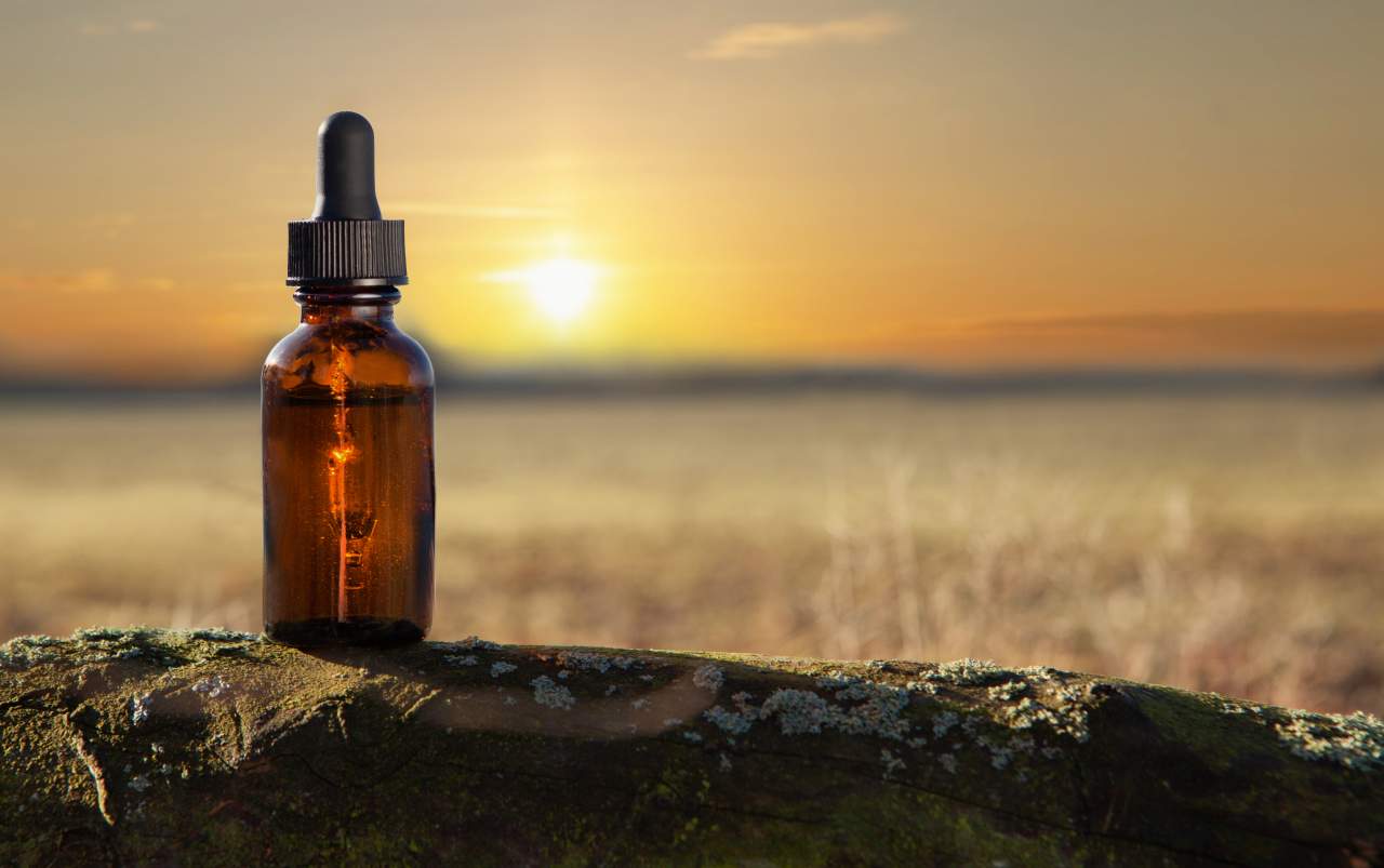 Elixir Yatamansi: ¿Cuáles son sus propiedades?