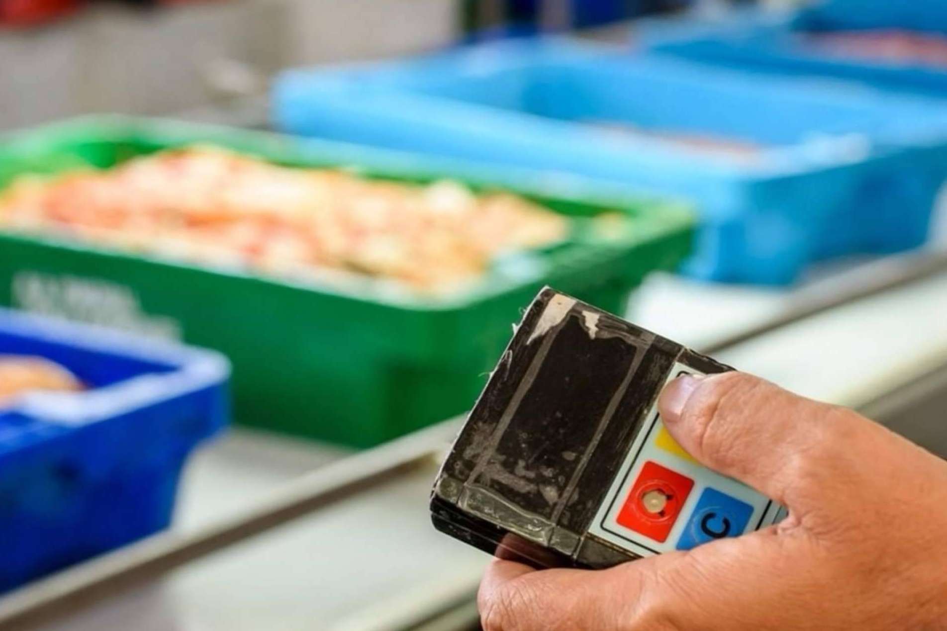 Esta Navidad compra Mariscos online