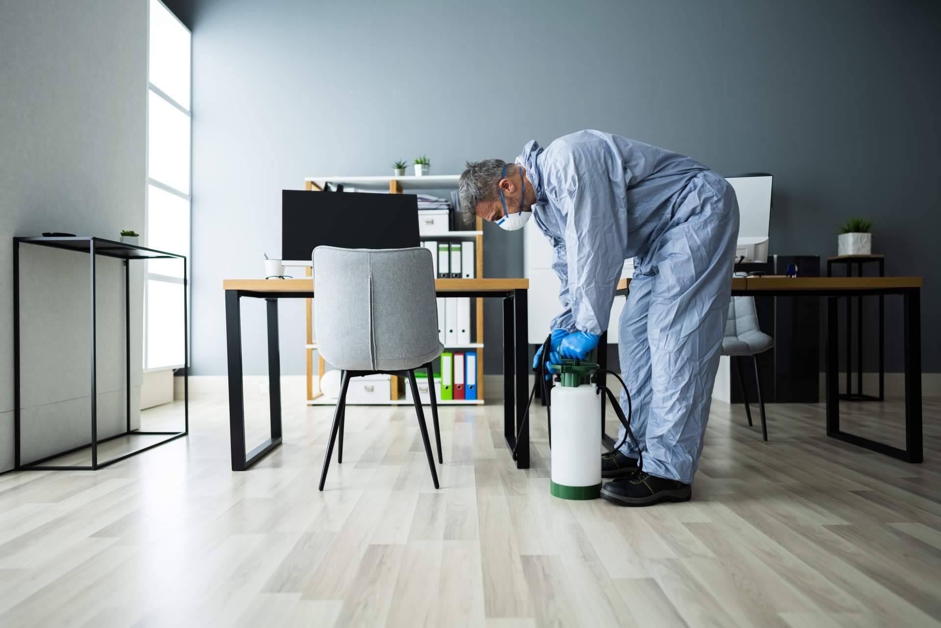 La importancia de fumigar cucarachas y eliminar hormigas